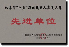北京市“十五”期間殘疾人康復(fù)工作先進單位